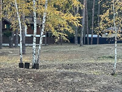 ділянка за адресою Сосновий Бір вул.
