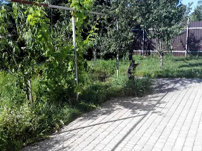 будинок за адресою Садова вул., 165