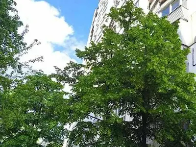 квартира по адресу Андрея Малышко ул., 23