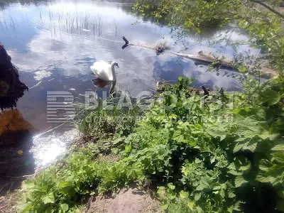 будинок за адресою с. Гатне, Польова вул.