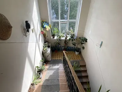 квартира по адресу Чеховский пер., 6