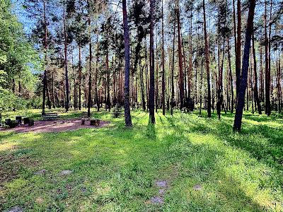 будинок за адресою с. Лебедівка, французська, 1