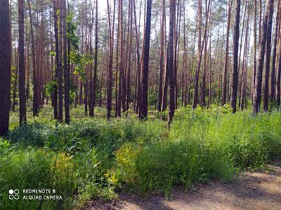 ділянка за адресою Лісова