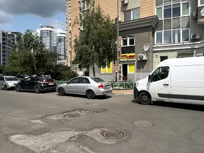 квартира за адресою Раїси Окіпної вул., 10