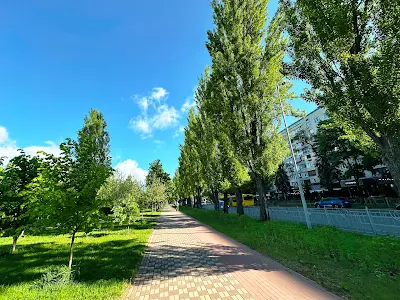 квартира за адресою Ігоря Шамо бульв. (Олексія Давидова), 14