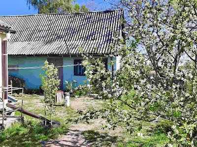 будинок за адресою с. Дружня, Миколи Петровського вул., 59