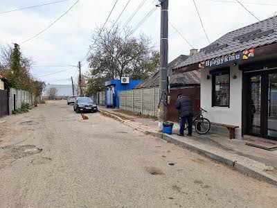 ділянка за адресою Миколи Трублаїні вул., 93