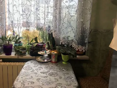 кімната за адресою Оболонський просп., 16-Е