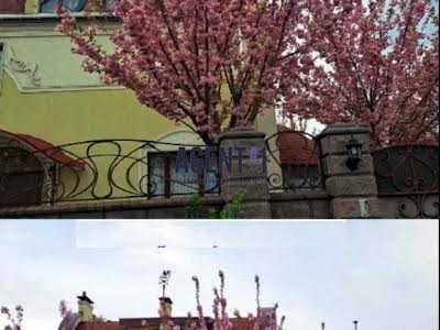 будинок за адресою Миколаівська