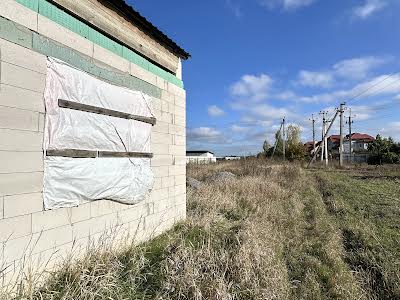 дом по адресу с. Крушинка, Київська, 16А