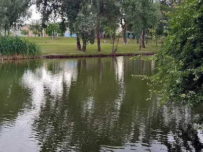 квартира за адресою Червоної Калини проспект, 5