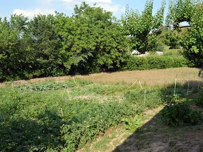 будинок за адресою с. Коженики, паркова