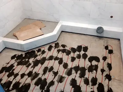 квартира за адресою Наддніпрянське шосе, 2А