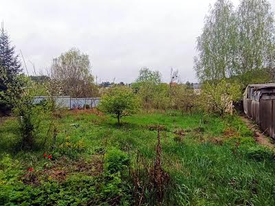 будинок за адресою с. Миколаївка, Лісна