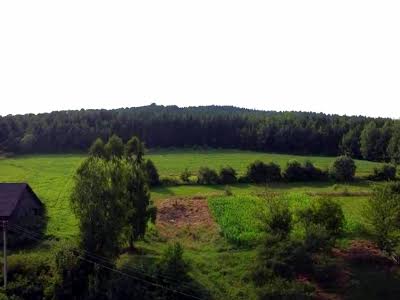 комерційна за адресою Центральна, 1