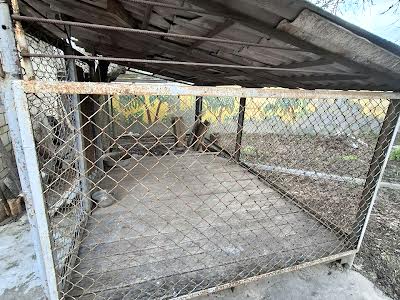 будинок за адресою с. Білогородка, Київська вул., 8