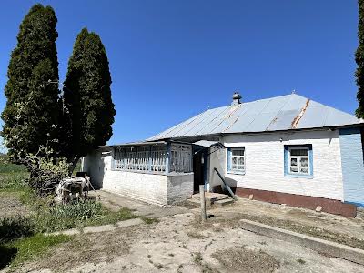 дом по адресу Свободи, 23
