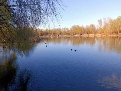 квартира за адресою Миколи Закревського вул., 89