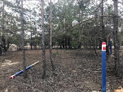 участок по адресу с. Лебедевка, Петра Сагайдачного, 50