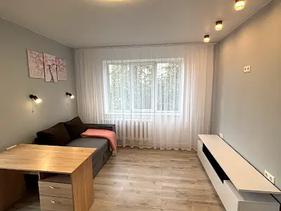 квартира за адресою Велика Окружна вул., 1