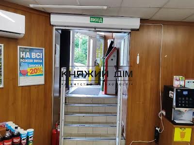 комерційна за адресою Гетьмана Кирила Розумовського вул. (Миколи Краснова), 17