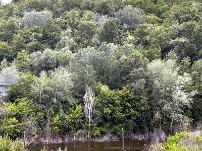 квартира по адресу Кирилловская ул. (Фрунзе), 37-А