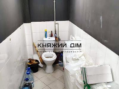 комерційна за адресою Гетьмана Кирила Розумовського вул. (Миколи Краснова), 17