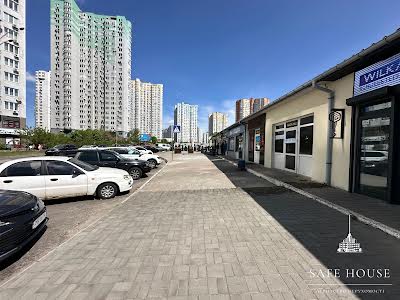комерційна за адресою Єлизавети Чавдар вул., 1з