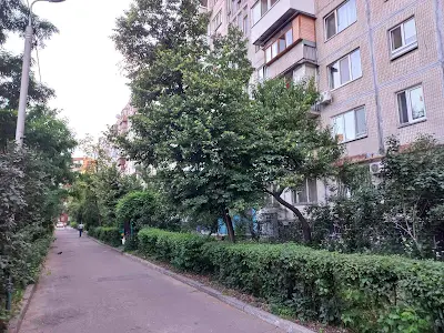 квартира за адресою Анатолія Солов'яненка вул. (Олександра Бойченка), 8