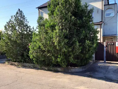 дом по адресу Лазурна, 50