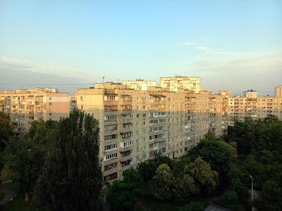 квартира за адресою Анатолія Солов'яненка вул. (Олександра Бойченка), 8