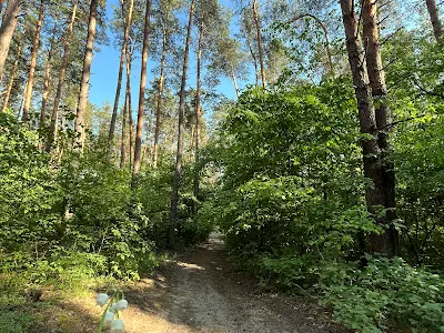 квартира за адресою Конча-Заспинська вул. (Генерала Матикіна), 16