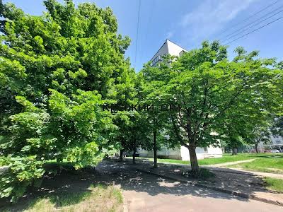 квартира за адресою Василя Касіяна вул., 2-Б