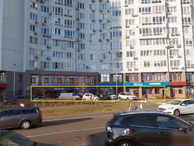комерційна за адресою Єлизавети Чавдар вул., 1