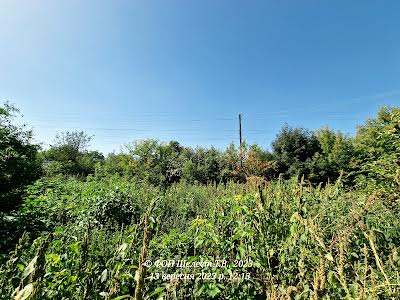 будинок за адресою с. Городище-Пустоварівське, Березова, 17