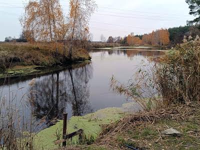 участок по адресу Шевченка