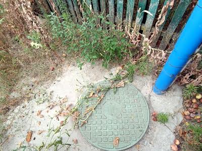 будинок за адресою с. Томилівка, Валкова