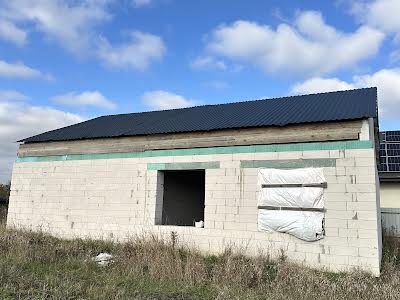 дом по адресу с. Крушинка, Київська, 16А
