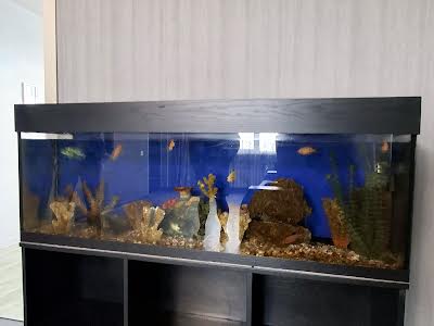 квартира за адресою Сонячна вул., 9
