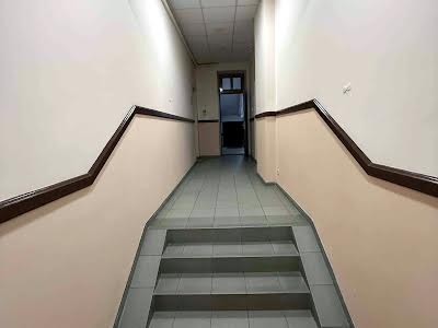 комерційна за адресою Панаса Мирного вул., 1