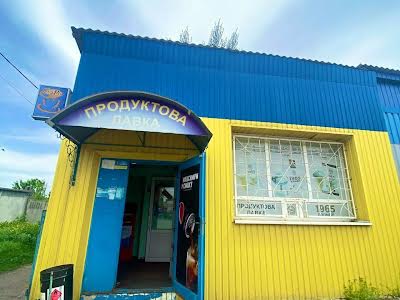 коммерческая по адресу Герасима Кондратьева ул. (Кирова), 217