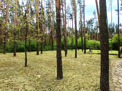 будинок за адресою с. Мила, лісова