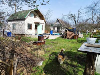 дом по адресу центральна