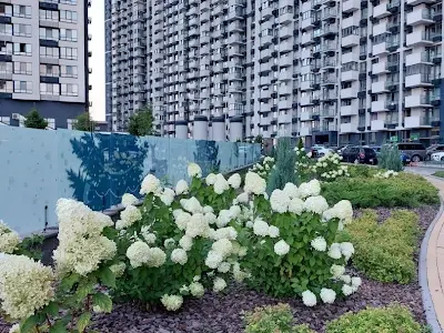 квартира за адресою Осокорська вул., 2а