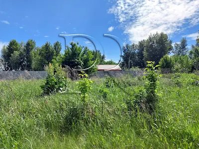 ділянка за адресою с. Глібівка, КМ Золотий берег