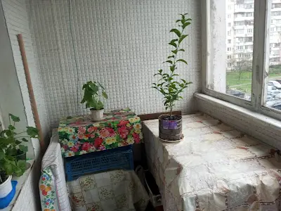 квартира за адресою Йорданська вул. (Лайоша Гавро), 11-Д
