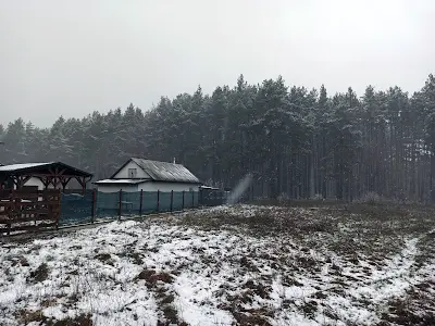 будинок за адресою с. Здвижівка, Покровська 15в