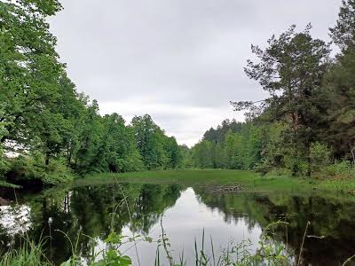 ділянка за адресою с. Хмільна, Київська