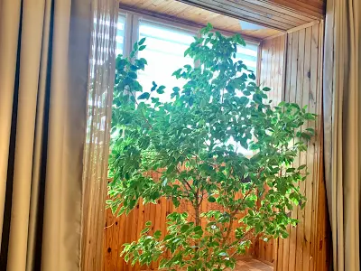 квартира за адресою Академіка Глушкова просп., 35