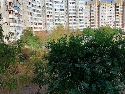 квартира по адресу Анны Ахматовой ул., 11